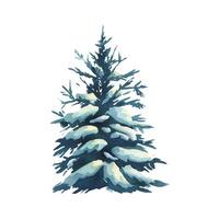 Tree evergreen fir with spreading branches on which lies white snow. Winter, forest watercolor illustration drawn by hand. Separate element isolated from background for Christmas, New Year and winter vector