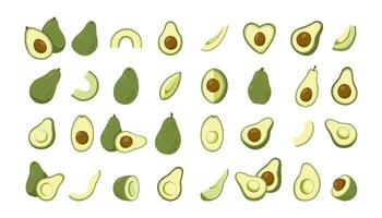 Green avocado collection with whole and slices vector