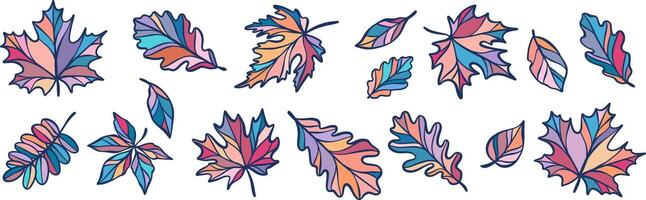Colorful leaves clip art, autumn leaf collection, decorative multicolored fall design collection vector