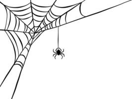 illustration of spider web isolated on white background or banner vector