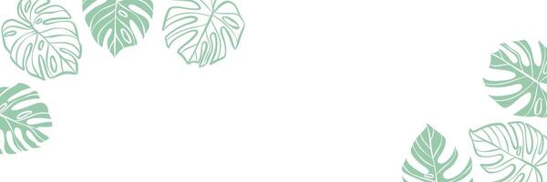 Summer minimalist white banner with monstera leaves, wide horizontal border or frame design vector