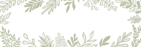 Green leaf banner, wide horizontal frame design, white cover or background foliage, hand drawn leaves, vector