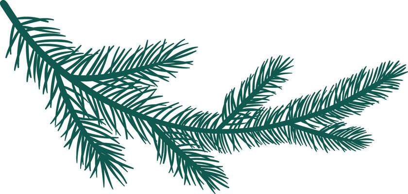 Pine branch illustration Christmas tree element, decorative flat clip art silhouette,