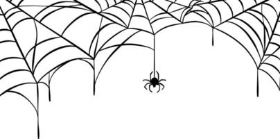 Halloween spider web and spider isolated on white background design, isolated clip vector