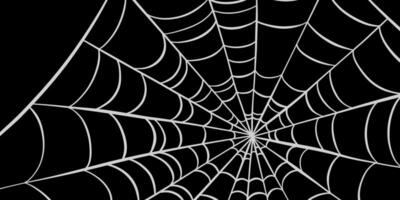 Dark spider web Halloween illustration hand drawn background design vector