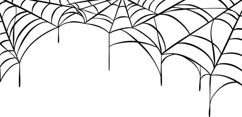 Spider web illustration, isolated frame or border, wide clip art for banner design, black and white