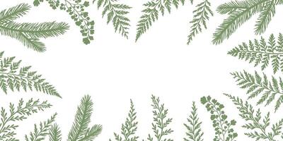 Forest foliage frame illustration, botanical plant silhouettes, pine and fern natural background with empty space, vector