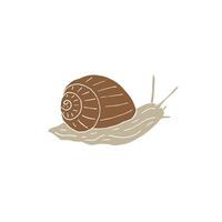 Hand drawn doodle sketch snail vector