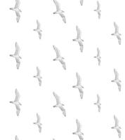 Seamless pattern of seagull birds flock vector
