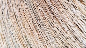Close-up of textured natural fibers showcasing a beautiful blend of earthy tones. This image captures the essence of organic materials, perfect for design and textile inspiration. photo