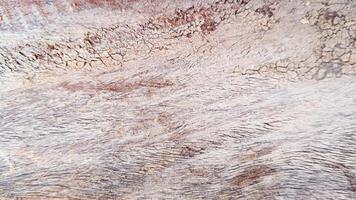 A textured close-up of weathered wood, featuring rich colors and natural patterns. Ideal for themes of nature, rustic design, and organic aesthetics. photo