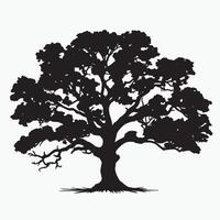 Oak Tree Silhouette with Roots Visible vector