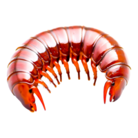 Vibrant Red Marine Creature with Distinctive Body and Claws png