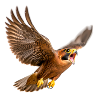 Majestic Bird of Prey in Flight with Wide Open Beak and Sharp Talons png