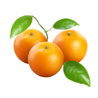 Bright Orange Mandarins Closeup png