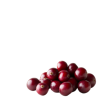 Isolated Cranberries with Smooth Texture png