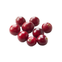 Ripe Cranberries Isolated for Display png