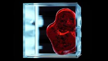 Dynamic red form inside a glowing cube for immersive visual experiences video