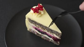 Piece of sweet layered cheesecake with cherries and poppy seeds on a dark textured background video