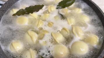 Dumplings in boiling water with seasonings and bay leaves in pan, slow motion. Close up photo of delicious preparation of simple meal in crock pot at home. Cooking meat dumplings in boiling water video
