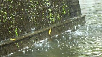 An artificial decorative waterfall pouring water into the pond, creating calming and relaxing ambience. The wall of waterfall is covering by a moss. video