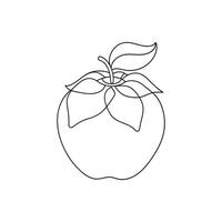 Persimmon fruit with leaf Continuous line art flat illustration. vector