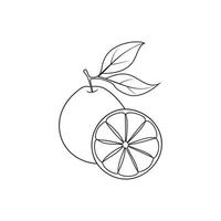 Grape fruit with leaf Continuous line art flat illustration vector