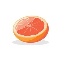 Grapefruit isolated flat illustration on white background vector