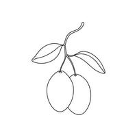 Kumquat fruit with leaf Continuous line art flat illustration vector