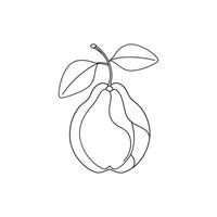 Guava fruit with leaf Continuous line art flat illustration. vector