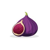 Figs fruit isolated flat illustration on white background. vector