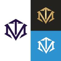 MT or TM logo design. Initial letter MT or TM logo design. vector