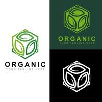 Organic 3 Three Leaf Plant Leaf with Hexagon Box concept design. vector