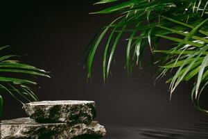Granite stone with branch green leaf on dark gray background photo