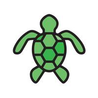 Appearance of a green turtle from above vector