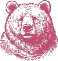 Hand Drawn Bear Sketch vector