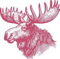 Hand Drawn Moose vector