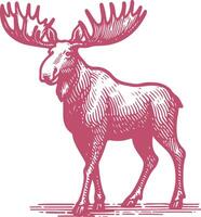 Hand Drawn Moose vector