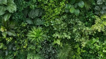 Vibrant green foliage creating a lush, natural backdrop in an outdoor setting filled with diverse plant life photo