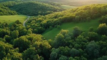Lush green landscape at sunset with winding path through the forest in a serene countryside setting photo