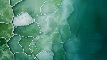 Unique aerial view of green abstract patterns resembling natural formations on the water surface at midday photo