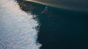 Crashing ocean waves with surfers, aerial drone view. Breaking surfing waves with evening light video