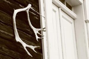 Antlers next to a house door in Sweden photo