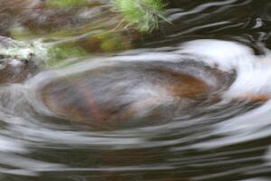 Blurred vortex in water with spray plant parts photo
