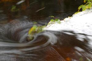 Blurred vortex in water with spray and a birch twig photo