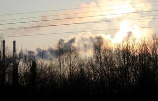 Abstract shot of industrial fumes and bare trees photo