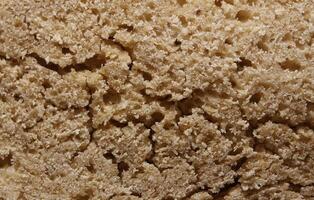 Macro shot of the structure of a bread photo