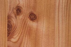Macro shot of wood grain usable as texture or background photo