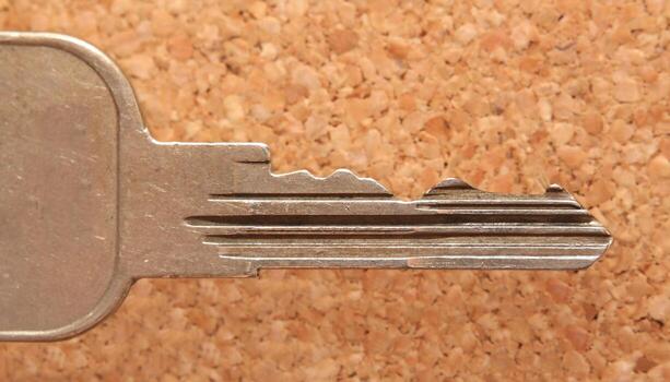 Side view of a key in front of pin board photo