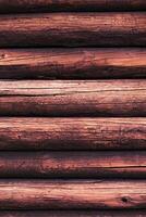 Wooden logs with a groove and hole structure made by insects photo